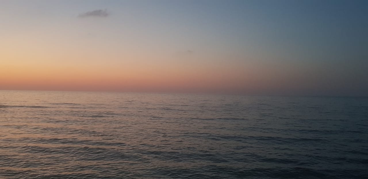 Ausblick allsun Hotel Carolina Mare