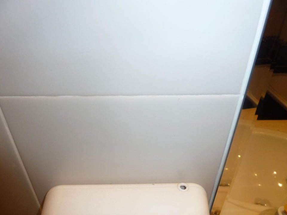 Mängel im Hotel Hotel Sineva Beach