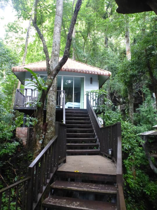 Außenansicht Rock & Treehouse Resort