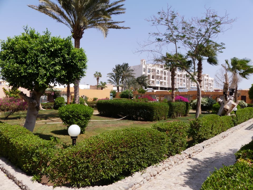 Gartenanlage Giftun Azur Resort