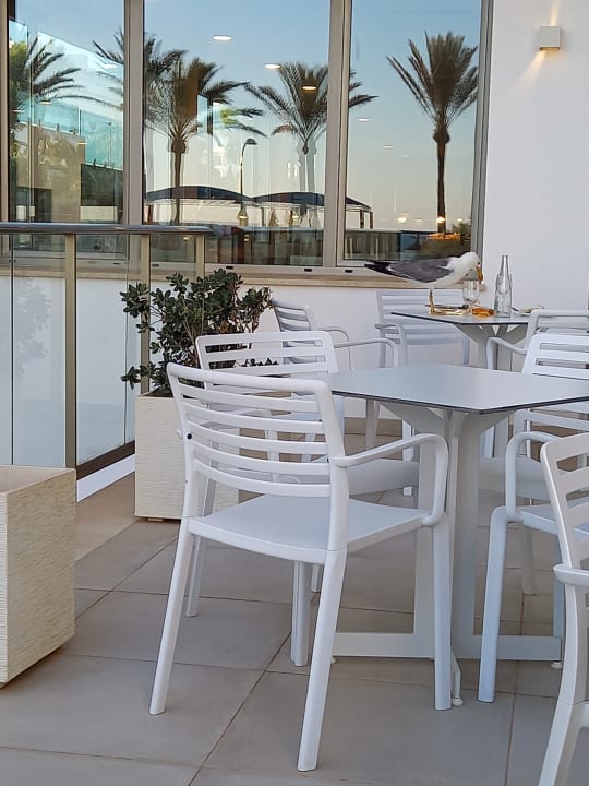 Gastro allsun Hotel Riviera Playa