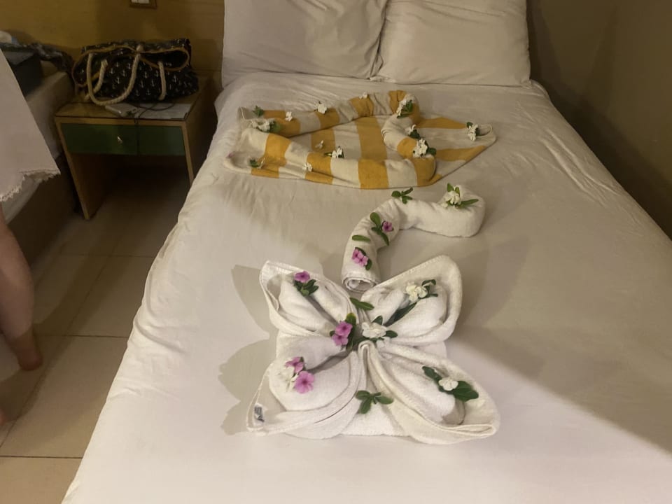 Zimmer Regina Resort and Aqua Park Hurghada