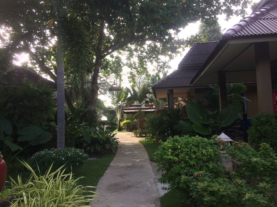 Schöne grüne Anlage  Hotel Lanta Castaway Resort