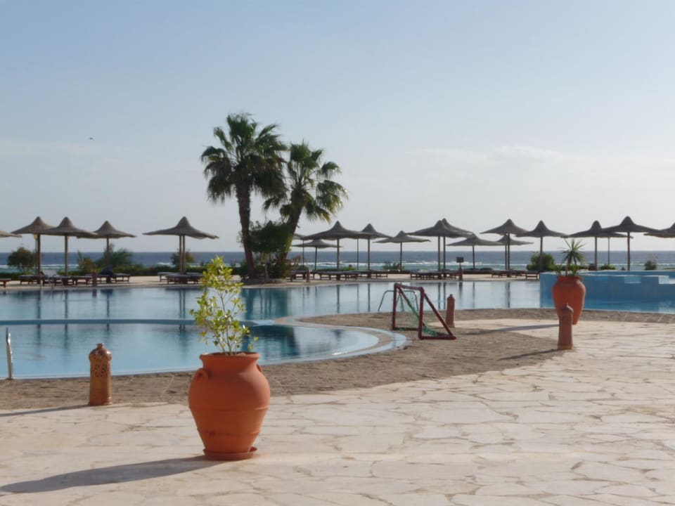Jaki tu spokój Blue Reef Red Sea Resort