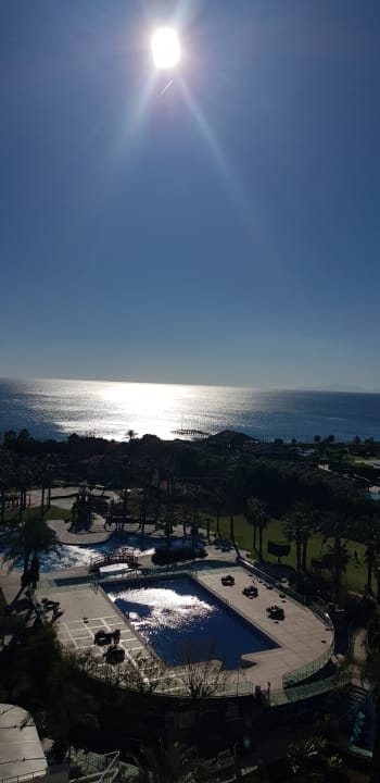 Zimmer Sherwood Exclusive Lara