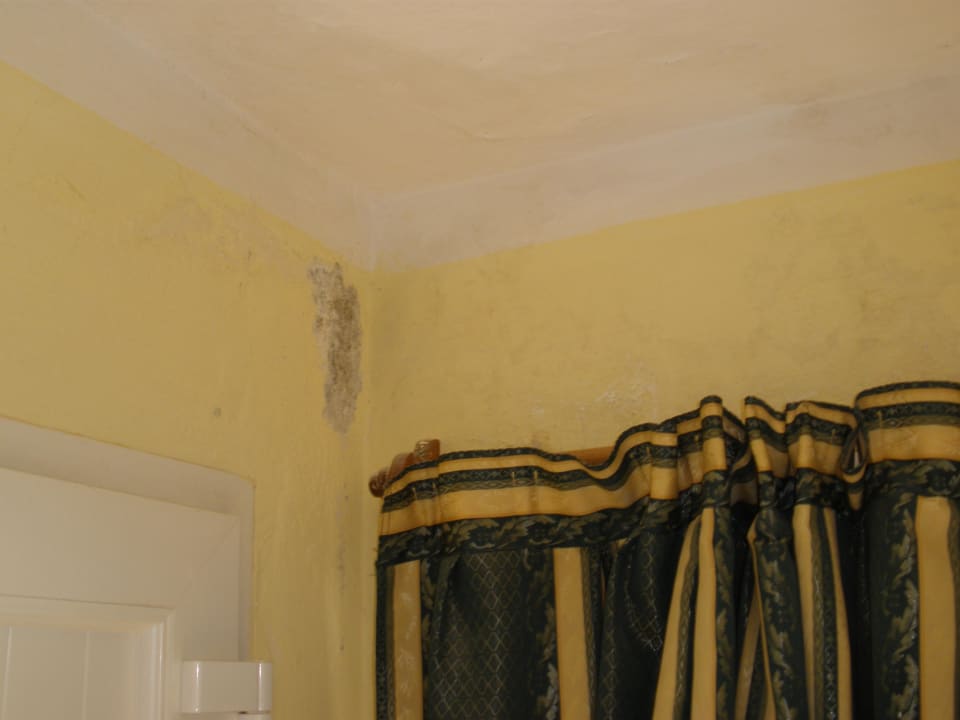 Schimmel Hotel Las Cuevas