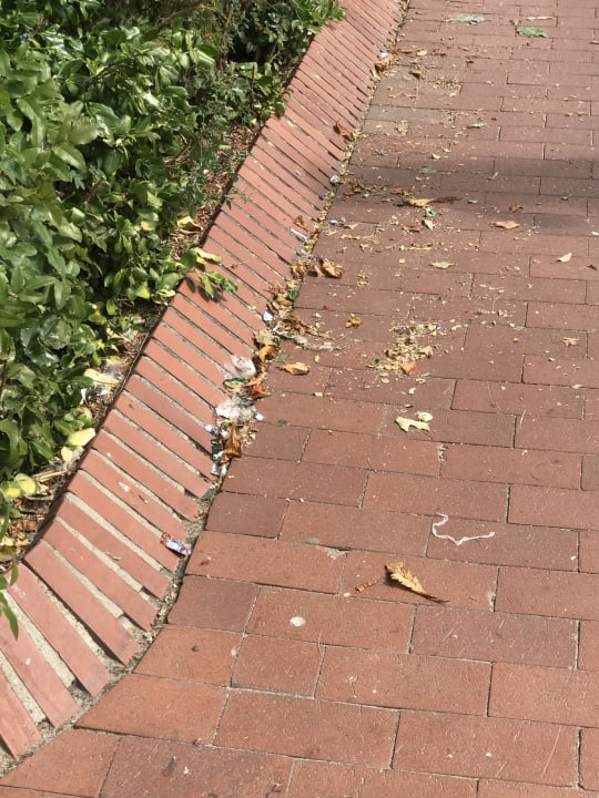 Gartenanlage Ferienwohnungen Ferienpark Weissenhäuser Strand