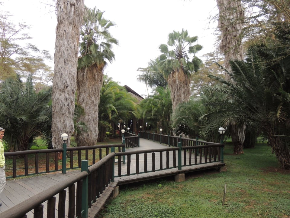 Weg ins Glück ;) Ol Tukai Lodge