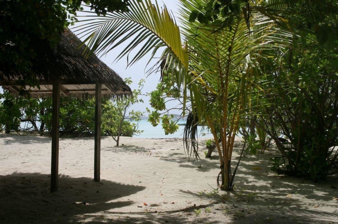 Blick vom Zimmer auf den Strand Summer Island Maldives