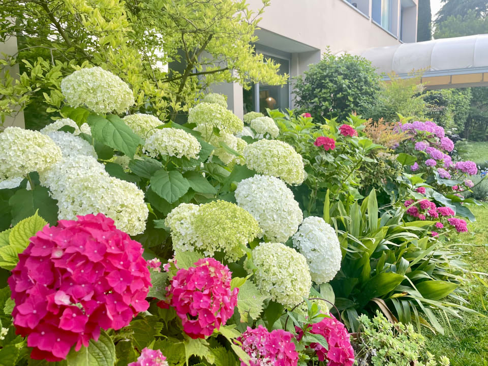 Gartenanlage Hotel Alfieri