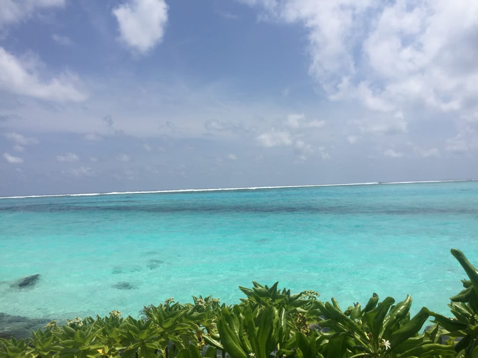 Strand Summer Island Maldives
