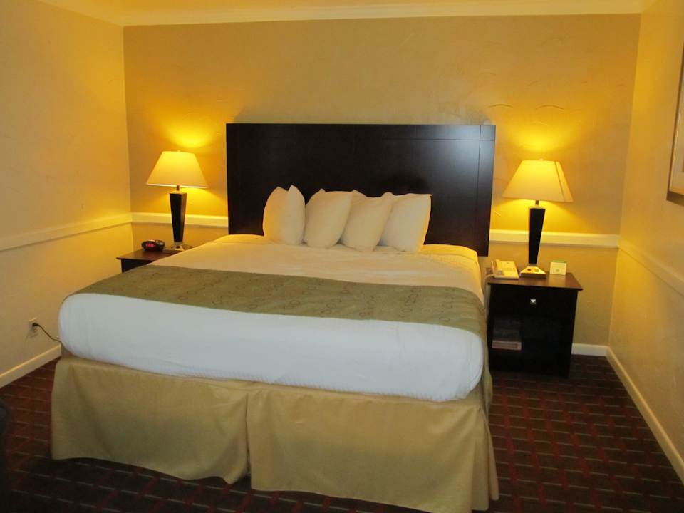 Großes gemütliches Bett Motel 6 Dallas TX Downtown