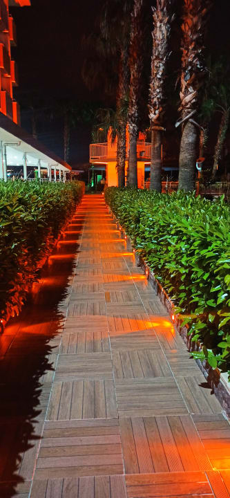 Gartenanlage Hane Family Resort