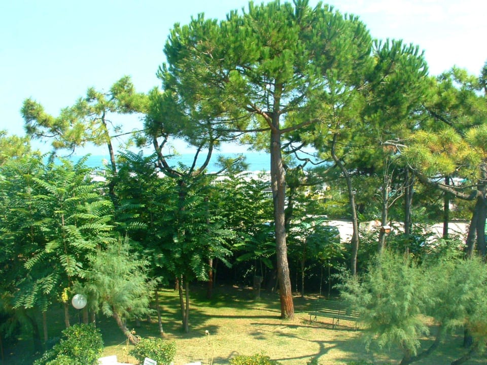 Hotel Ariston Milano Marittima vacanza holiday Hotel Ariston