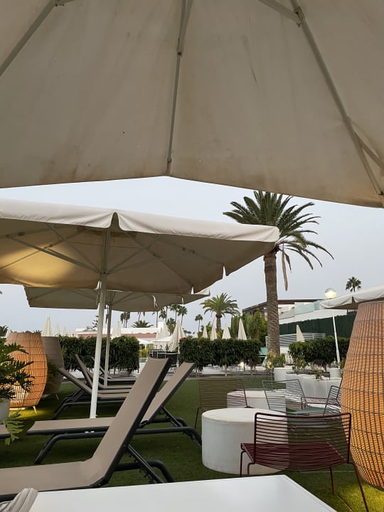 Sonstiges Canary Garden Club