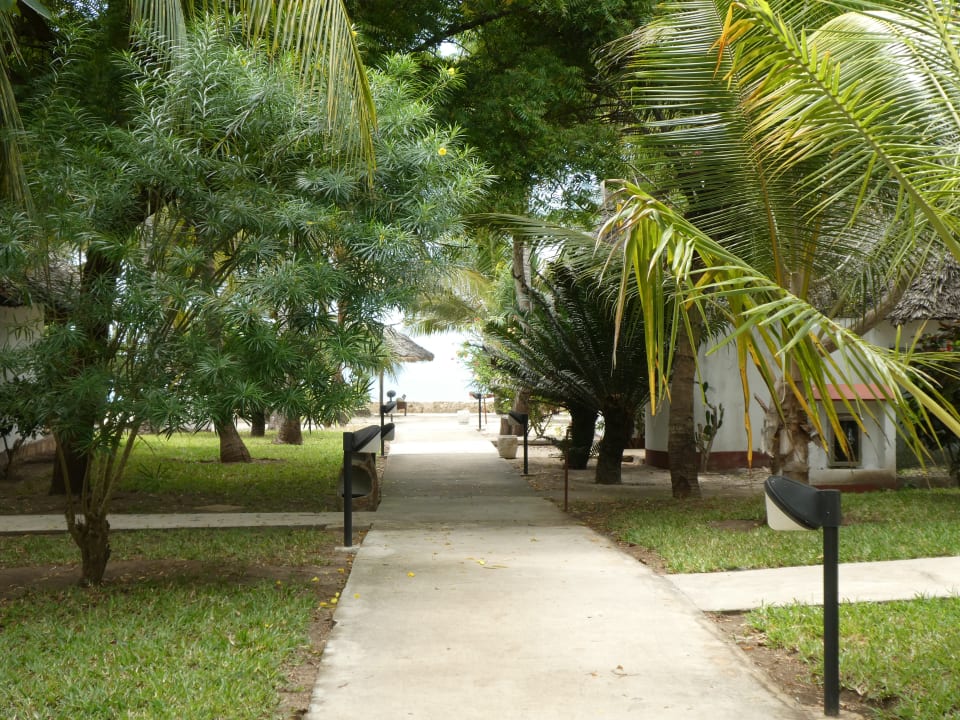 Gartenanlage Jaz Adonia Beach Resort