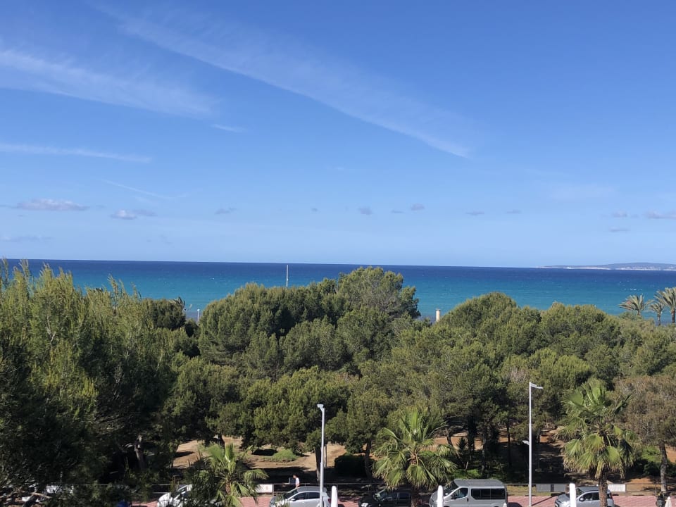 Zimmer Aparthotel Houm Plaza Son Rigo