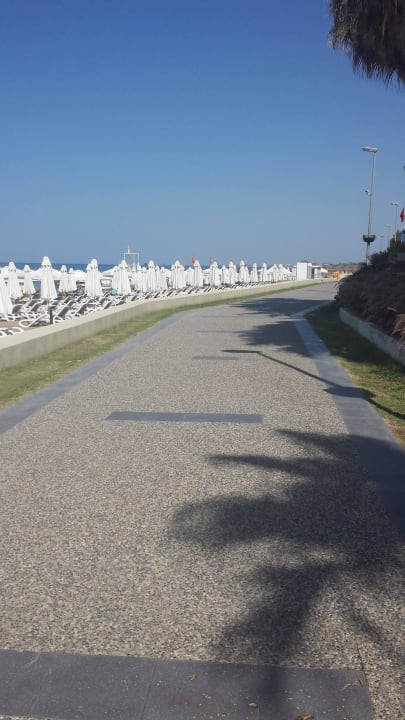 Strand Arum Barut Collection