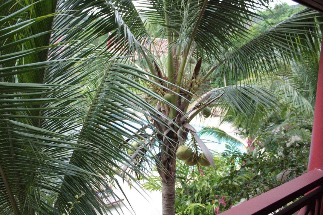 Kokospalme Chada Thai Village Resort