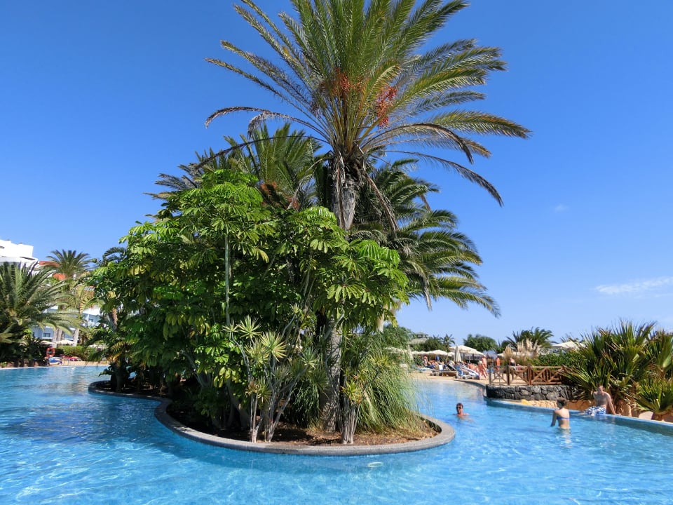 Insel im Pool R2 Pajara Beach