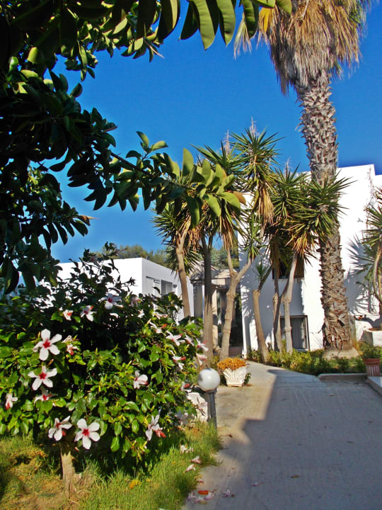 Garten Summer Village of Hippokrates - Adults only