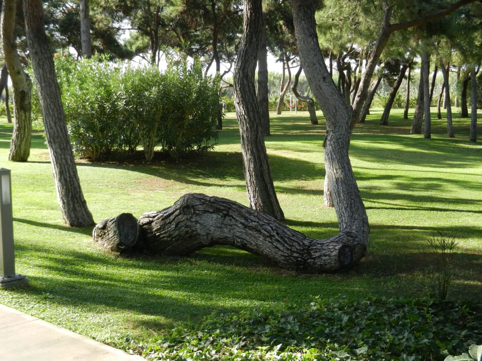 Xanadu  Xanadu Resort Hotel