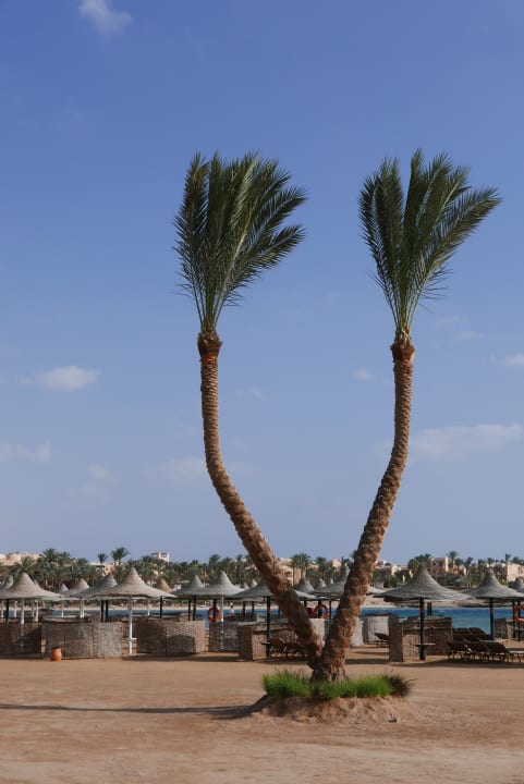 Strand Jaz Solaya