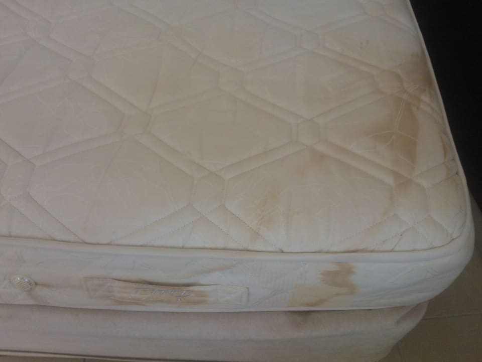 Zimmer Kamelya Aishen Club