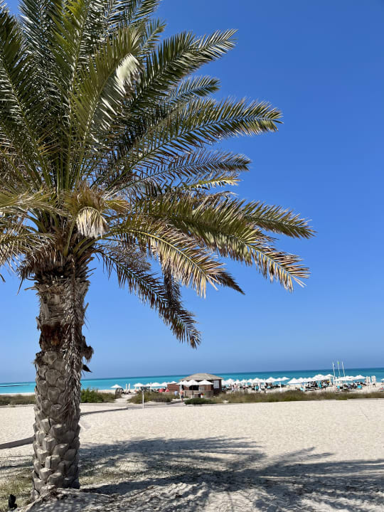 Strand The St. Regis Saadiyat Island Resort, Abu Dhabi