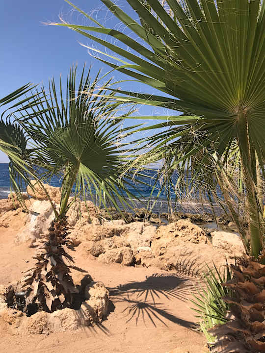 Strand Pickalbatros Citadel Resort