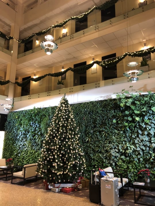 Lobby Hotel Amberton