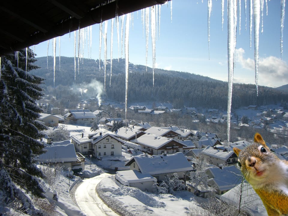 Ausblick Montara Suites Bodenmais