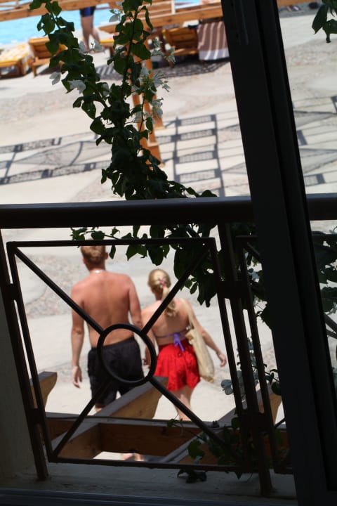 Widok z pokoju Desert Rose