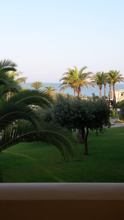 Gartenanlage Hotel Horizon Beach Resort