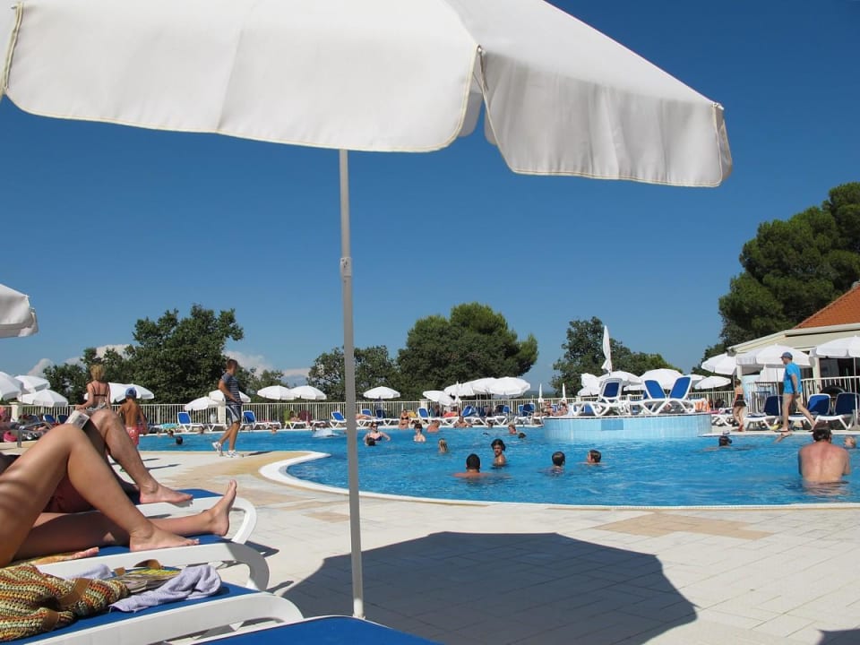 Pool Apartments Bellevue Plava Laguna