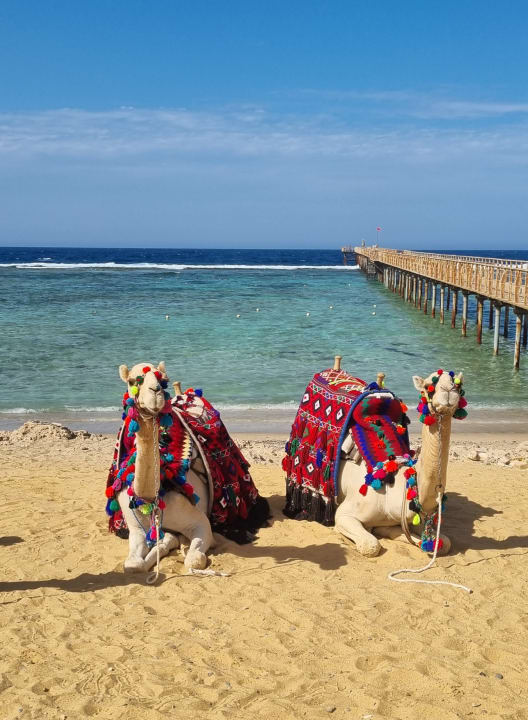 Strand Lazuli Hotel Marsa Alam