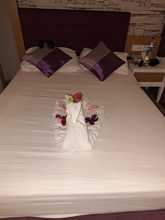 Zimmer TUI MAGIC LIFE Jacaranda