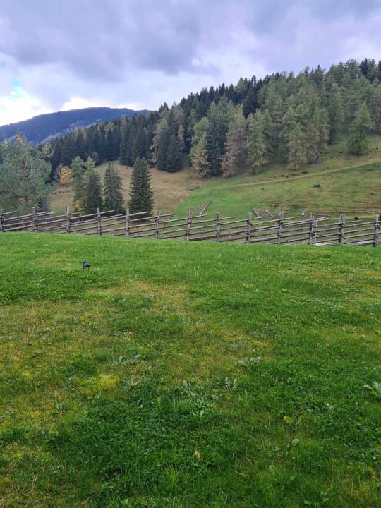 Ausblick Almwellness Hotel Pierer