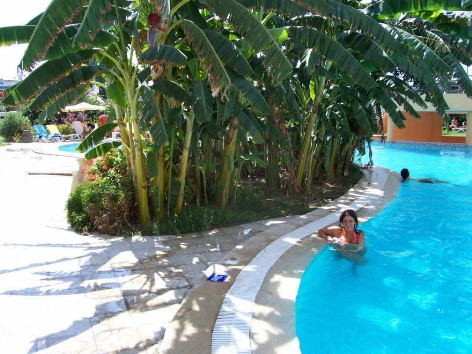 Il relax della piscina Hotel African Queen