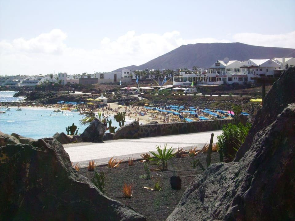 Blick vom Hotel auf den Strand Dreams Lanzarote Playa Dorada Resort & Spa