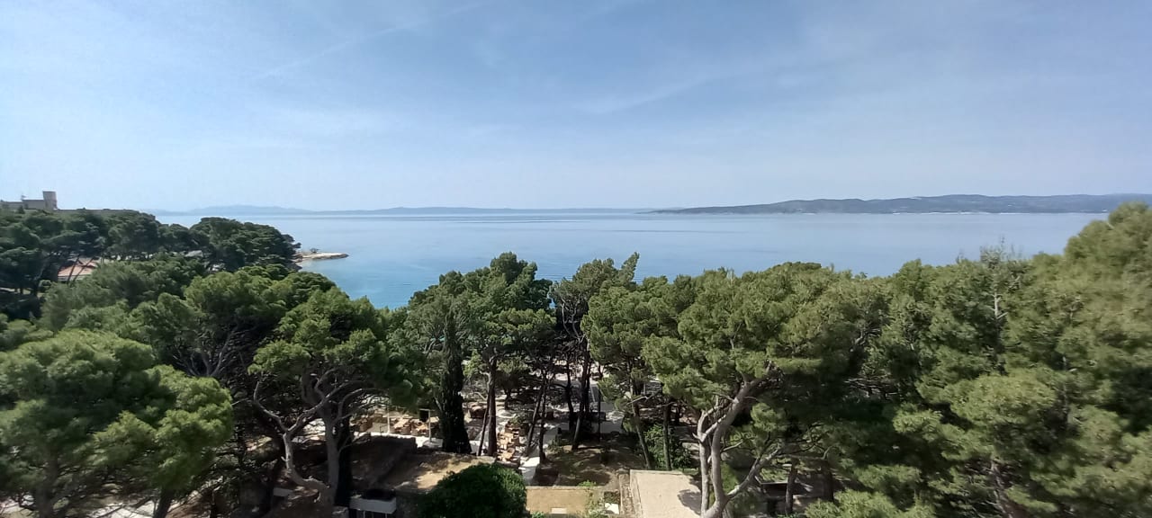 Gartenanlage Bluesun Hotel Marina