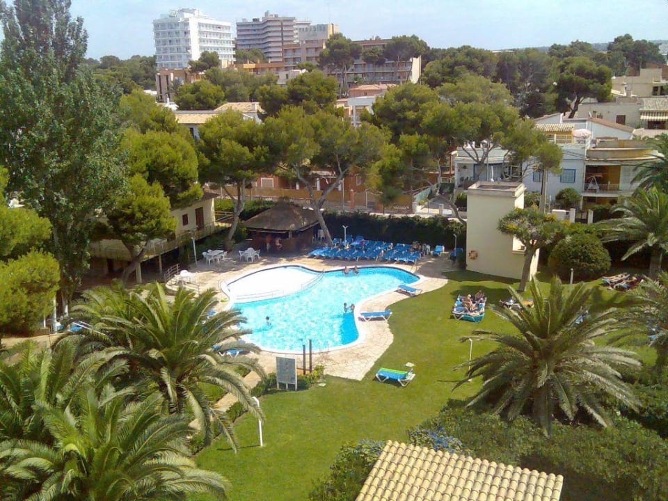 Der Pool und die Gartenanlage AYA Seahotel - Adults only