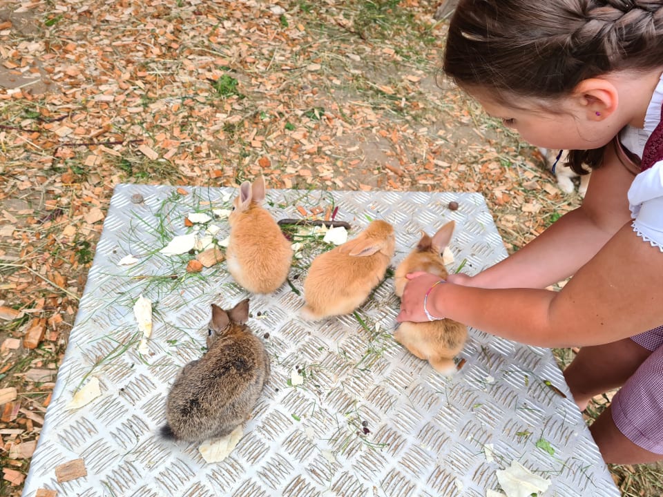 Sonstiges Hotel Stadt Wien