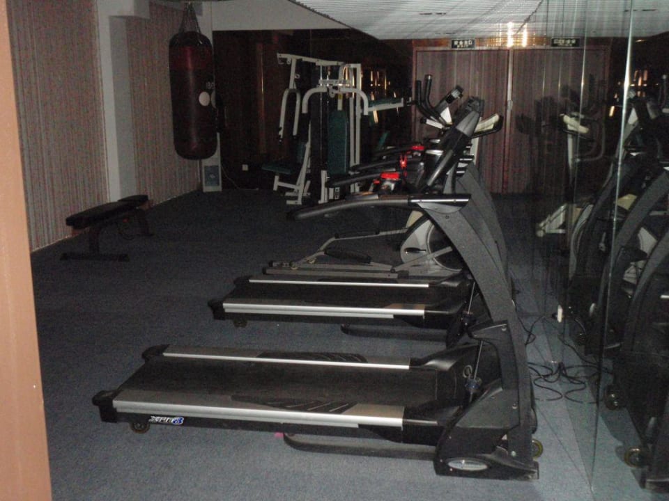 Fitnessstudio Hotel The Seagull On The Bund