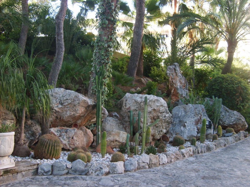 Garten allsun Hotel Bella Paguera