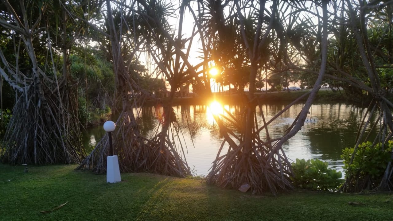 Gastro Club Palm Bay