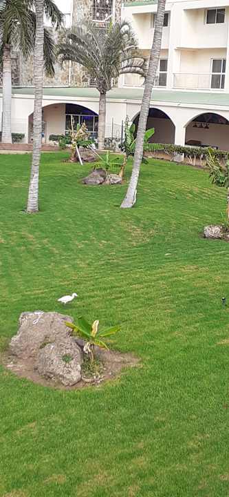 Gartenanlage Club Hotel Drago Park