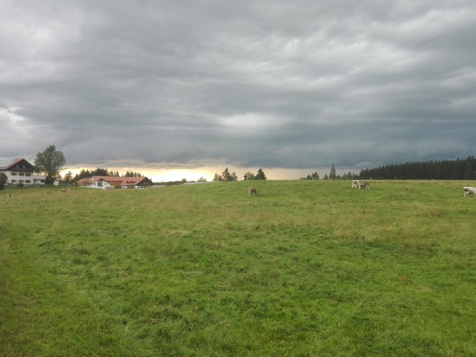 Außenansicht Biohof Stadler