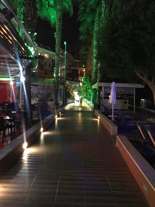 Gartenanlage Hane Family Resort