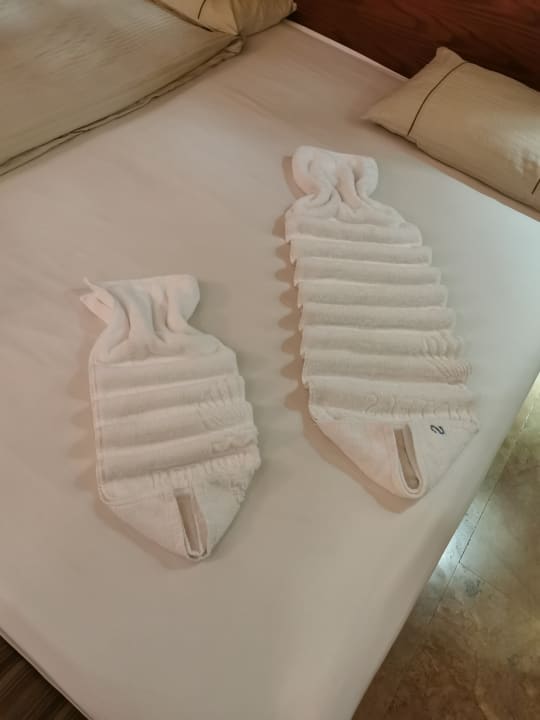 Zimmer Grand Waterworld Makadi & Family Star Makadi